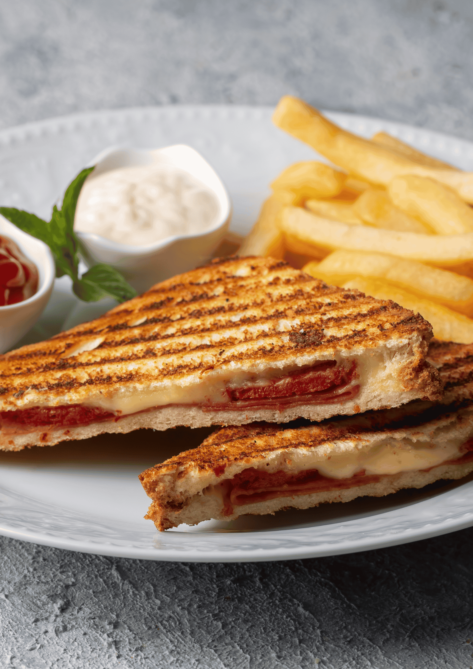 KARIŞIK TOST
