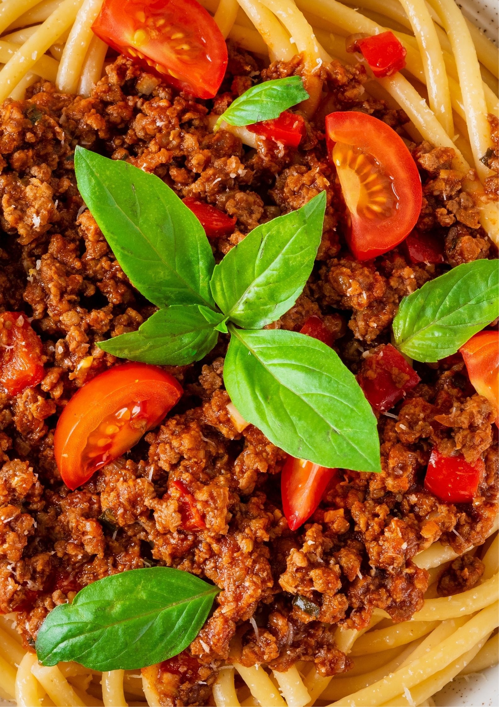NAPOLİTEN PENNE
