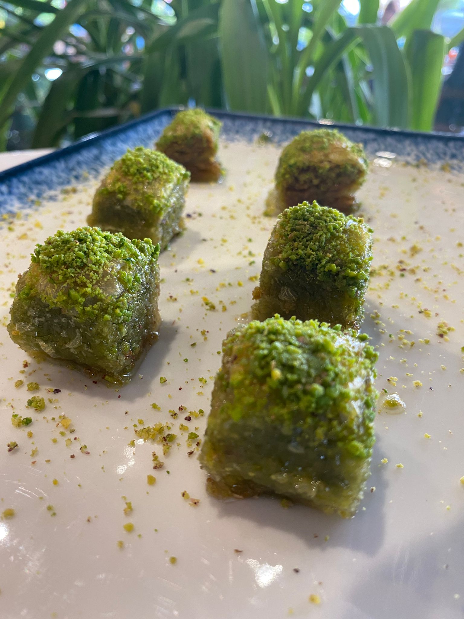 ÖZEL BAKLAVA (PORSİYON 6 DİLİM)
